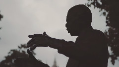 The Palace The Square & The Circus