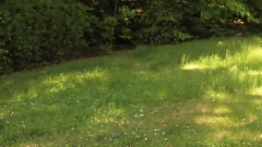 A Blessing to Matthew