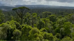 电影<重返地球>电视版4