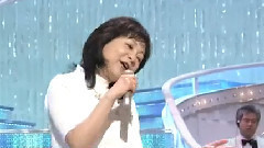 木绵のハンカチーフ