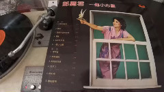 邓丽君 - 微风细雨