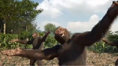 Adventure Of A Lifetime