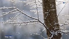 Goodbye Autumn, Welcome Winter