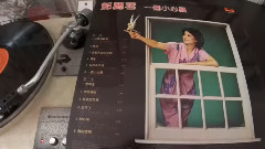 邓丽君 - 雪中莲