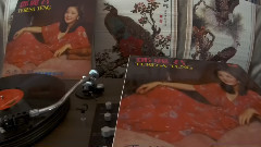 邓丽君 - 我了解你(1977年香港Polydor黑胶版)