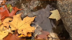 Я буду помнить