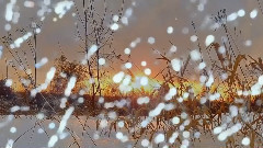 ПРОСТО СМОТРИ