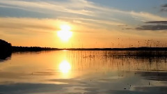 Вечерна серенада