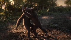 Adventure Of A Lifetime