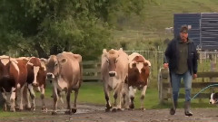 电影<霍比特人:意外之旅>拍摄日志之On Location