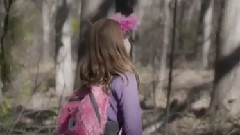 Summoner's Call from League of Legends on STL Ocarina