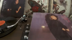 邓丽君 - 漫步人生路 1983年香港Polydor黑胶版