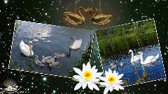 ТАНТРА РАСТВОРЕНИЕ В ЛЮБВИ