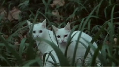 UN1 - 寂寞的季节 李时珉