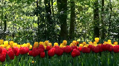 Радовать Анатолий Днепров