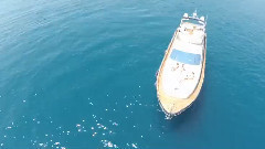 DIJANA JANKOVIC BALERINA