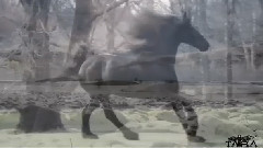 Message For The Queen