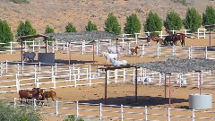 UAE Ajman Stud Timelapse Hyperlapse