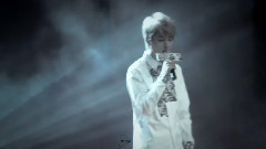 陈秋实,蔡照 - 演员 & 玫瑰人生