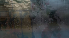 Echoes of Rain