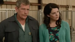 电影<军犬麦克斯>电视版预告