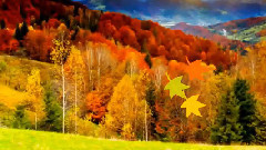 с поезията на Пепа Николова