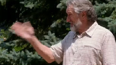 电影<盛大婚礼>电视版预告