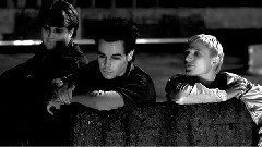 Greg Holden - Go Chase The Sun