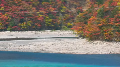 七色に色づく畑薙湖の紅葉