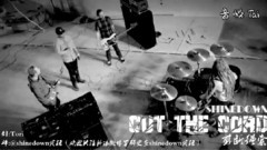 Shinedown - Cut The Cord