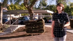 电影<疯狂愚蠢的爱>精彩片段之Do You Like This Girl