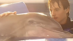 电影<海豚的故事2>花絮3