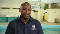 电影<海豚的故事2>花絮4