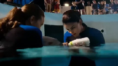 电影<海豚的故事2>预告片1(1)