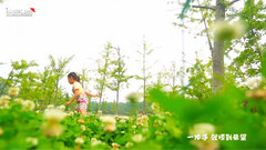 华语童星 - 离彩虹很近的地方