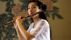 民乐群星 - 年轮