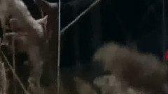 韩剧<岬童夷>口哨