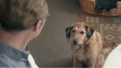 电影<魔法教师>预告片