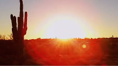 The Phantom In The Desert