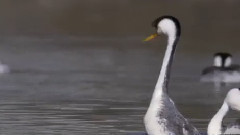 音乐短片 - 第一剪 忽然之间