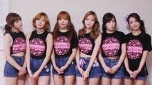 Apink - Apink Diary2 Special Japan tour