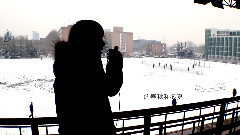 JY伽怡 - 那些花儿