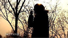 JY伽怡 - 我怀念的