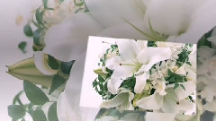 ПРИКОСНОВЕНИЕ НЕЖНОСТИ