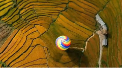 影视原声 - 电影<极限挑战>先行版预告片