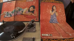 邓丽君 - 少年爱姑娘(1973年香港丽风唱片黑胶版)