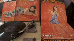 邓丽君 - 路边的野花不要采(1973年香港丽风唱片黑胶版)