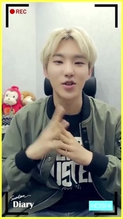 Seventeen's Diary 2 -Hoshi