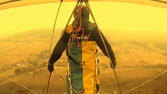 Le Vol Des P'tits Poulets