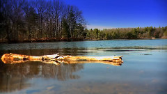 Lake People - Letus Extreme EX1 Film
